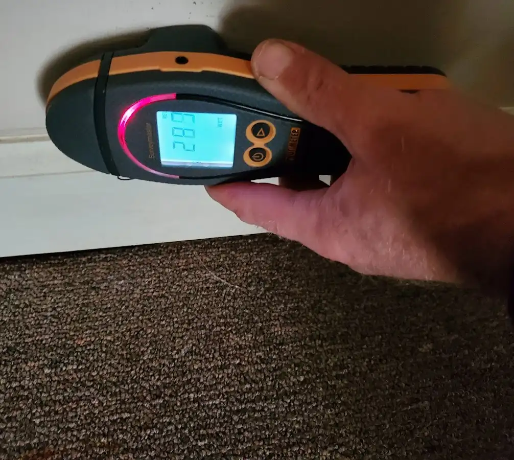 Moisture detection at baseboard during Sewage Cleanup & Sanitation in Greensboro